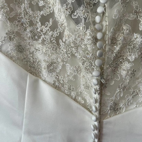 Plus Size Robin Jillian Bridal Button Lace Back Ruched Train New Wedding Dress - Picture 14 of 16